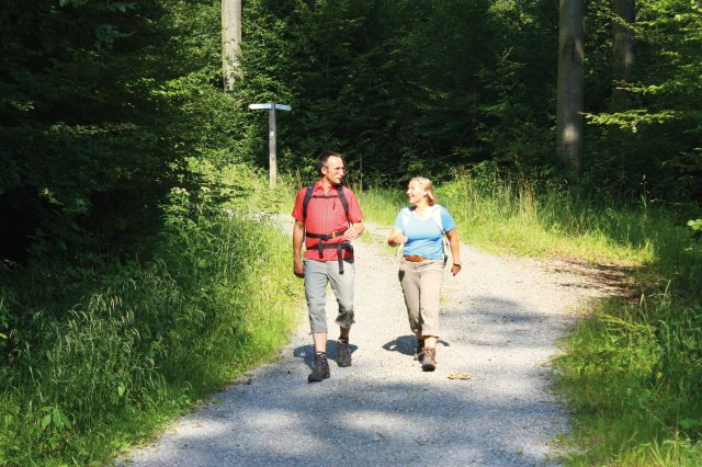 SVR2012Wandern068_Solling_Vogler_Region