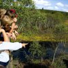3_d_Hochmoor_Solling_Vogler_Region